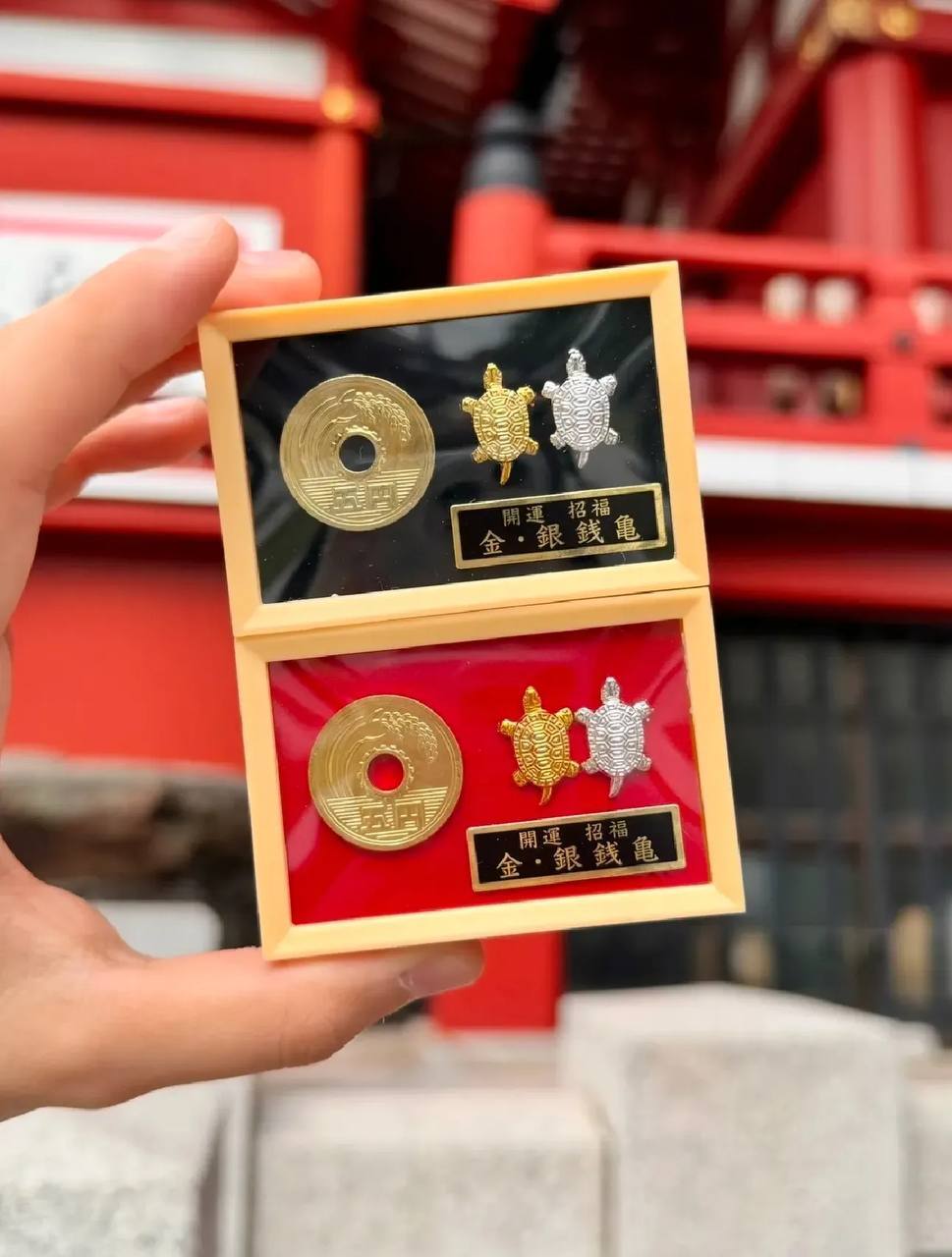 image_B4DC24D5-C012-4F5D-8F0F-A7961183C3F4_1775039561