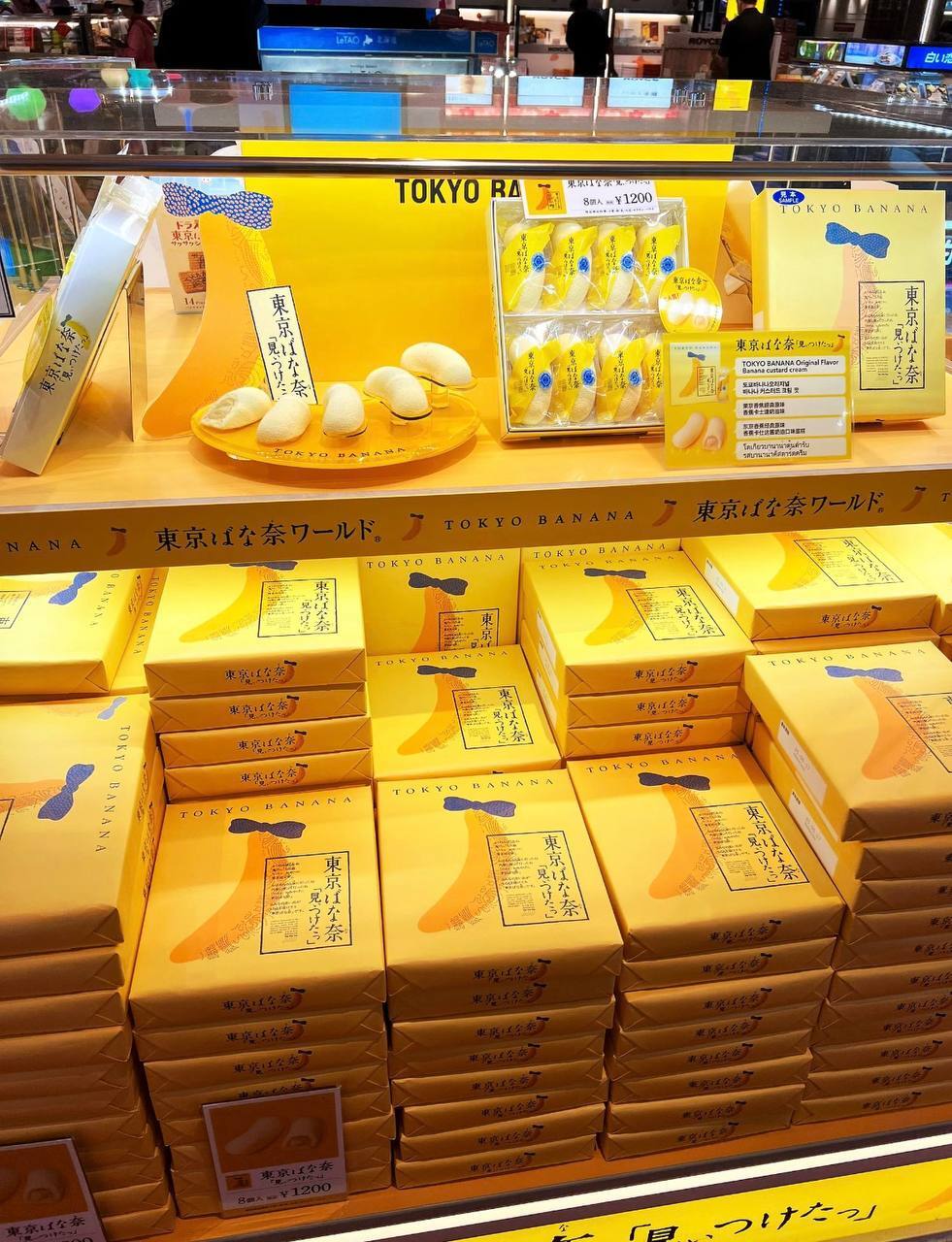 image_8D6EBE8C-473B-481C-BC2C-2D19B87A029D_1775486458