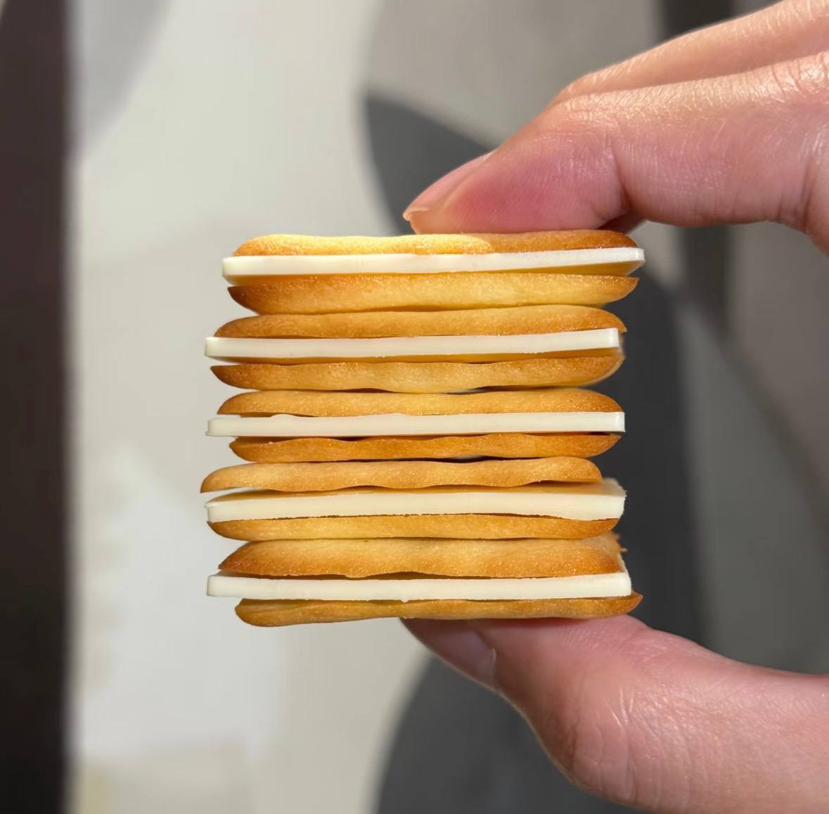 image_EA565DCA-D70A-41D5-ABBC-F3D5721F509A_1775488068