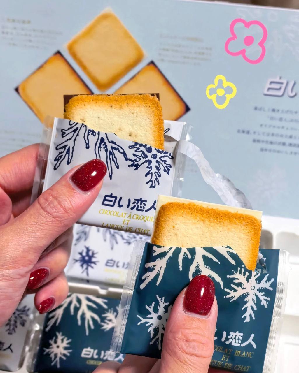 image_F9463DE4-FAE3-4E0A-A65D-7CC55394048D_1775488068