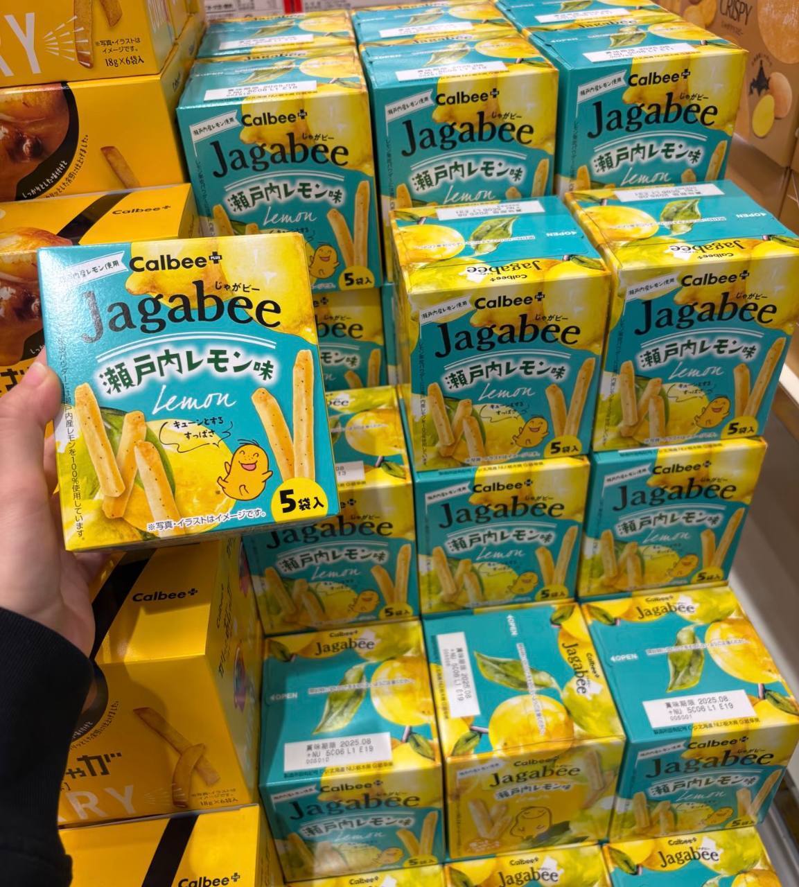 image_B1C8088E-AF1A-4F31-B194-69666D22A972_1775636366