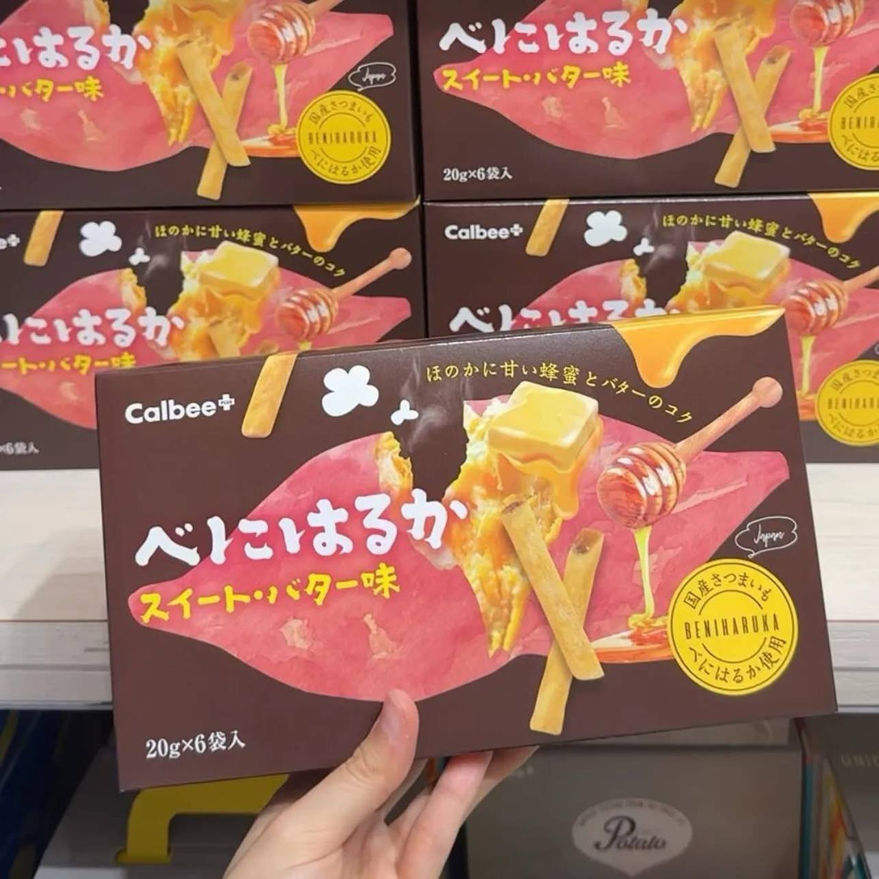 image_EE8DFA65-F455-4C06-B5F8-4CB31BD88062_1775636850