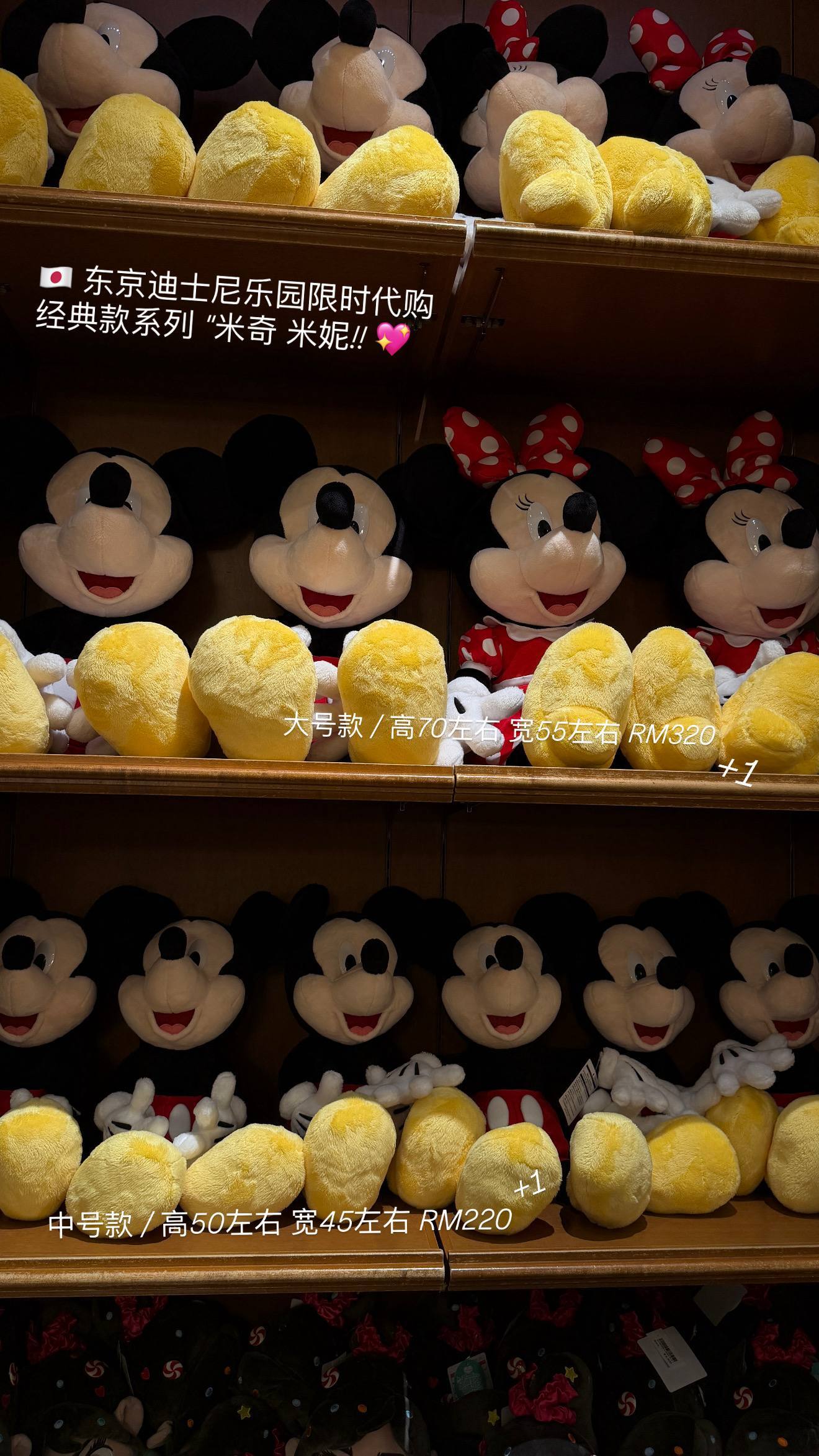 image_B9B5E9E9-6E69-49B0-B215-03495CF07D62_1776072573