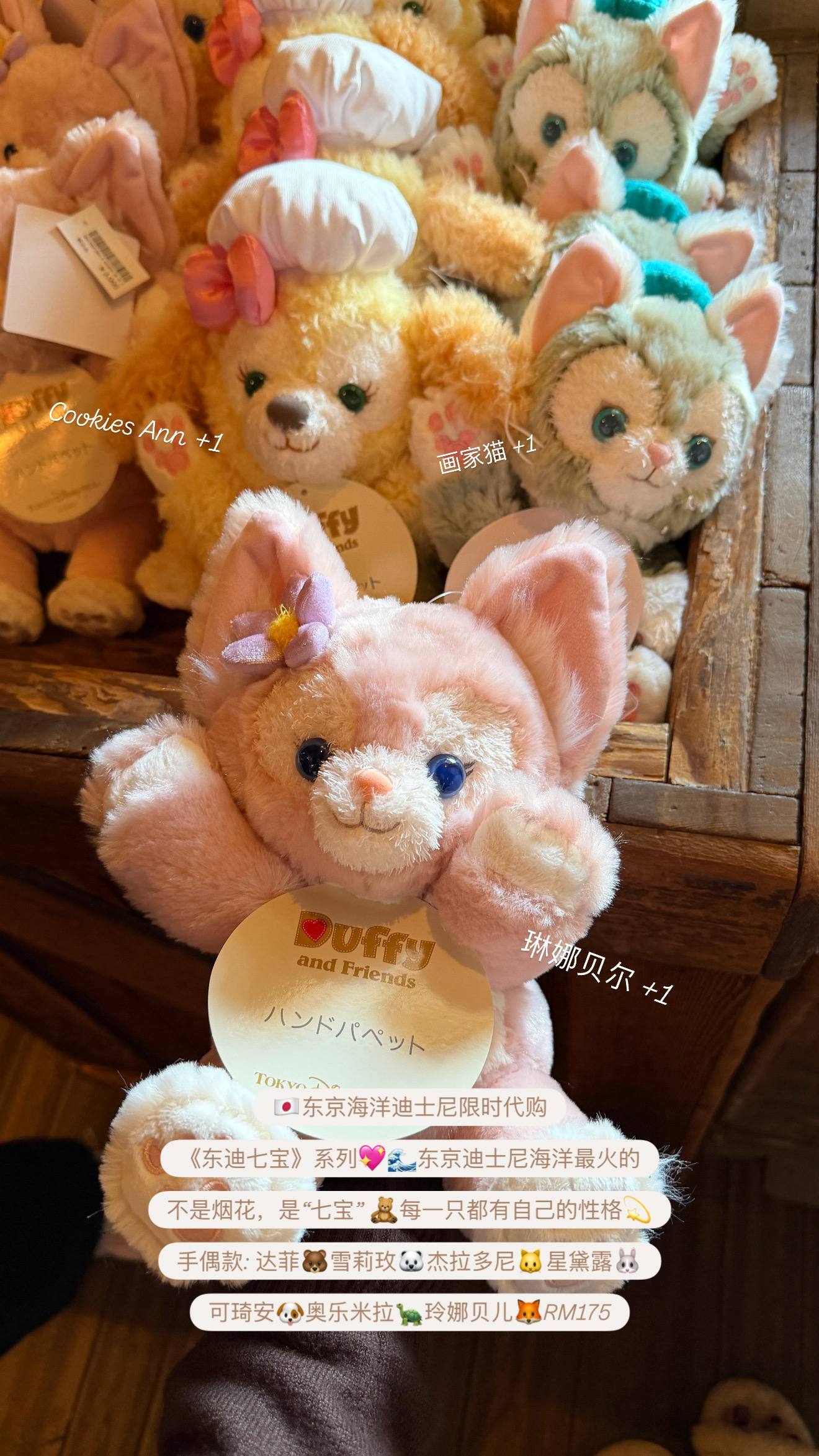 image_E9C8D723-2F21-4671-A255-2A35D3978205_1776197248