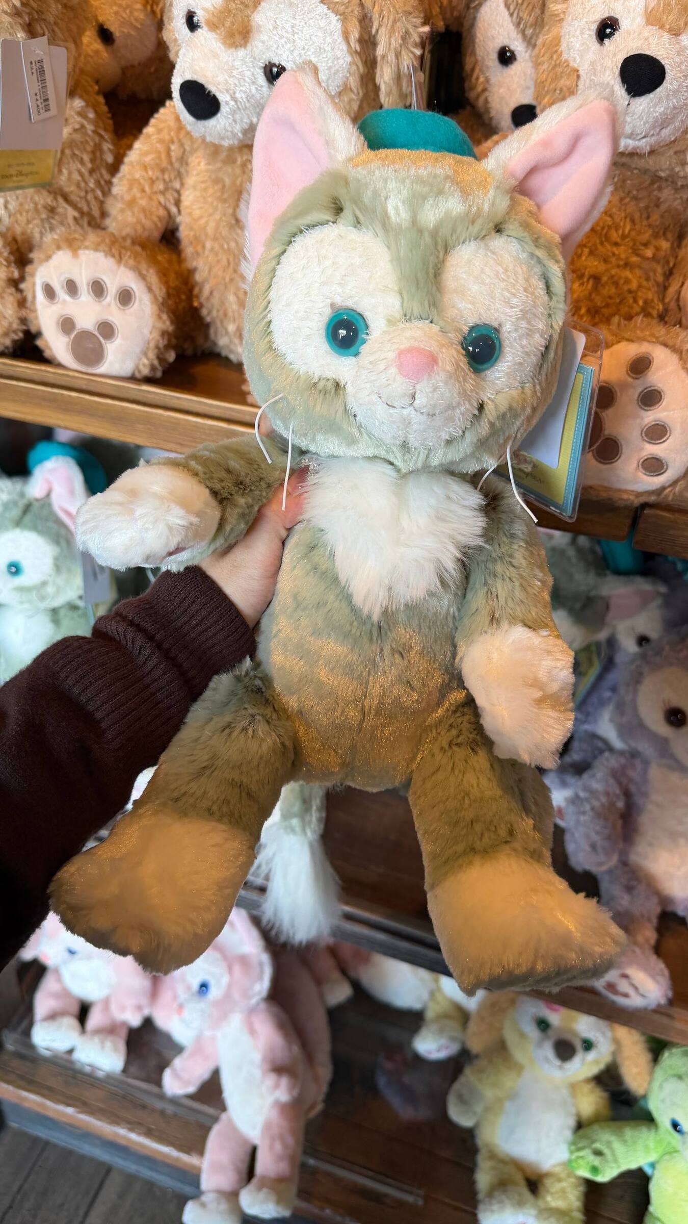 image_17D88896-EDAE-4DA0-BB98-50B18E09005E_1776222737