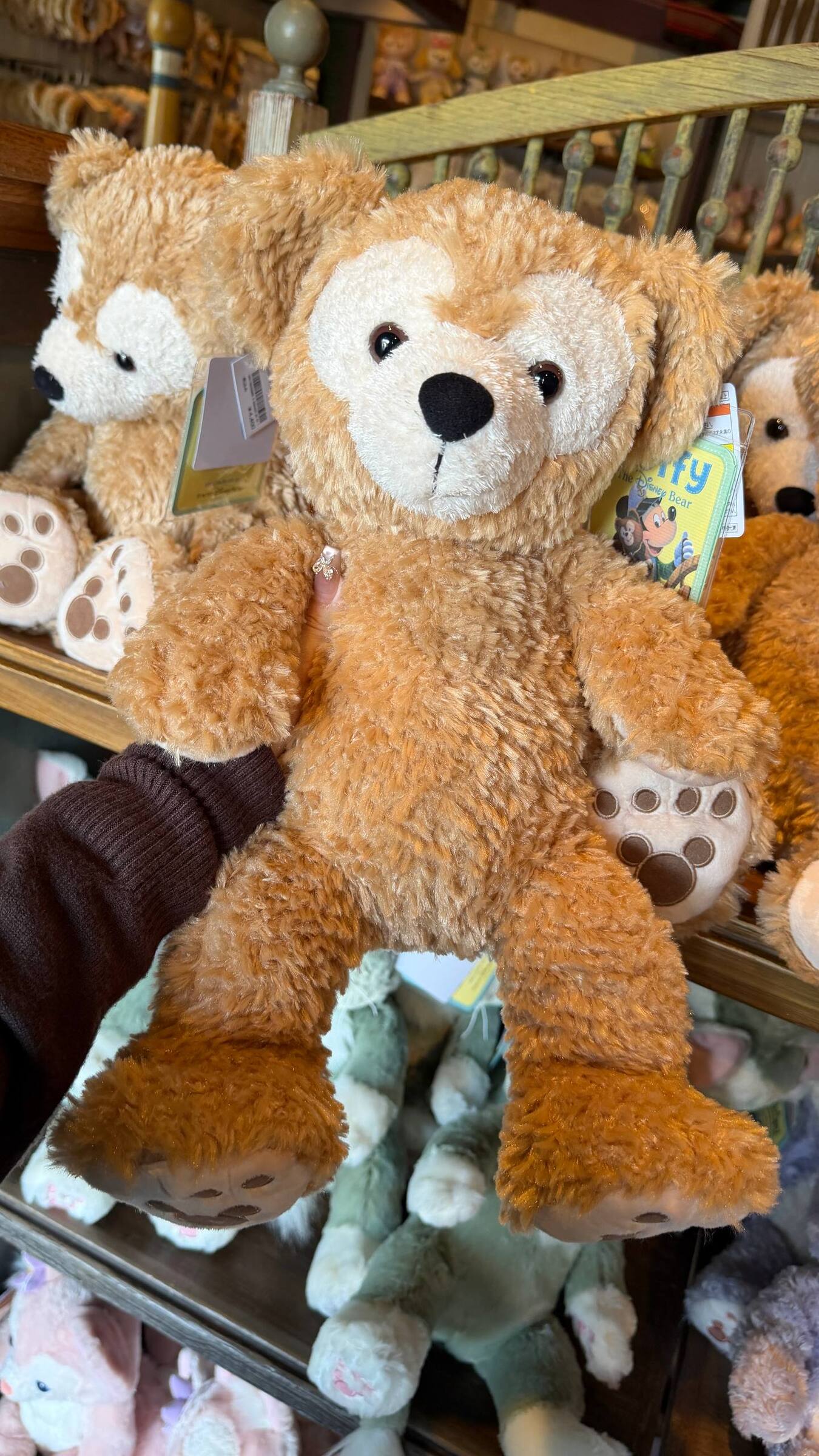 image_F2009955-0692-4D93-8797-7D2567CB2ADC_1776222737