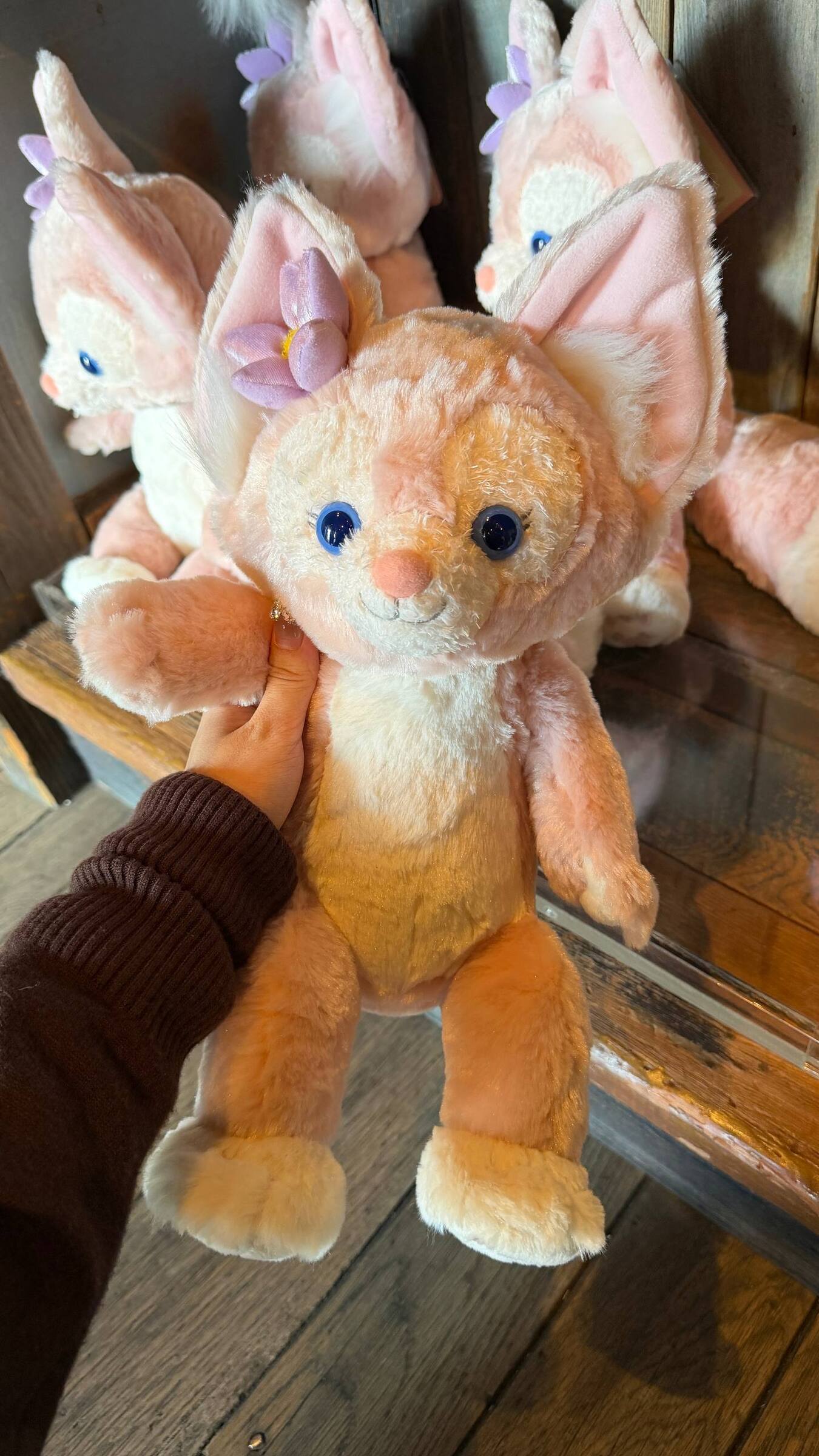 image_DD7851C2-9B2E-431A-8331-D4BFED1845C6_1776222737