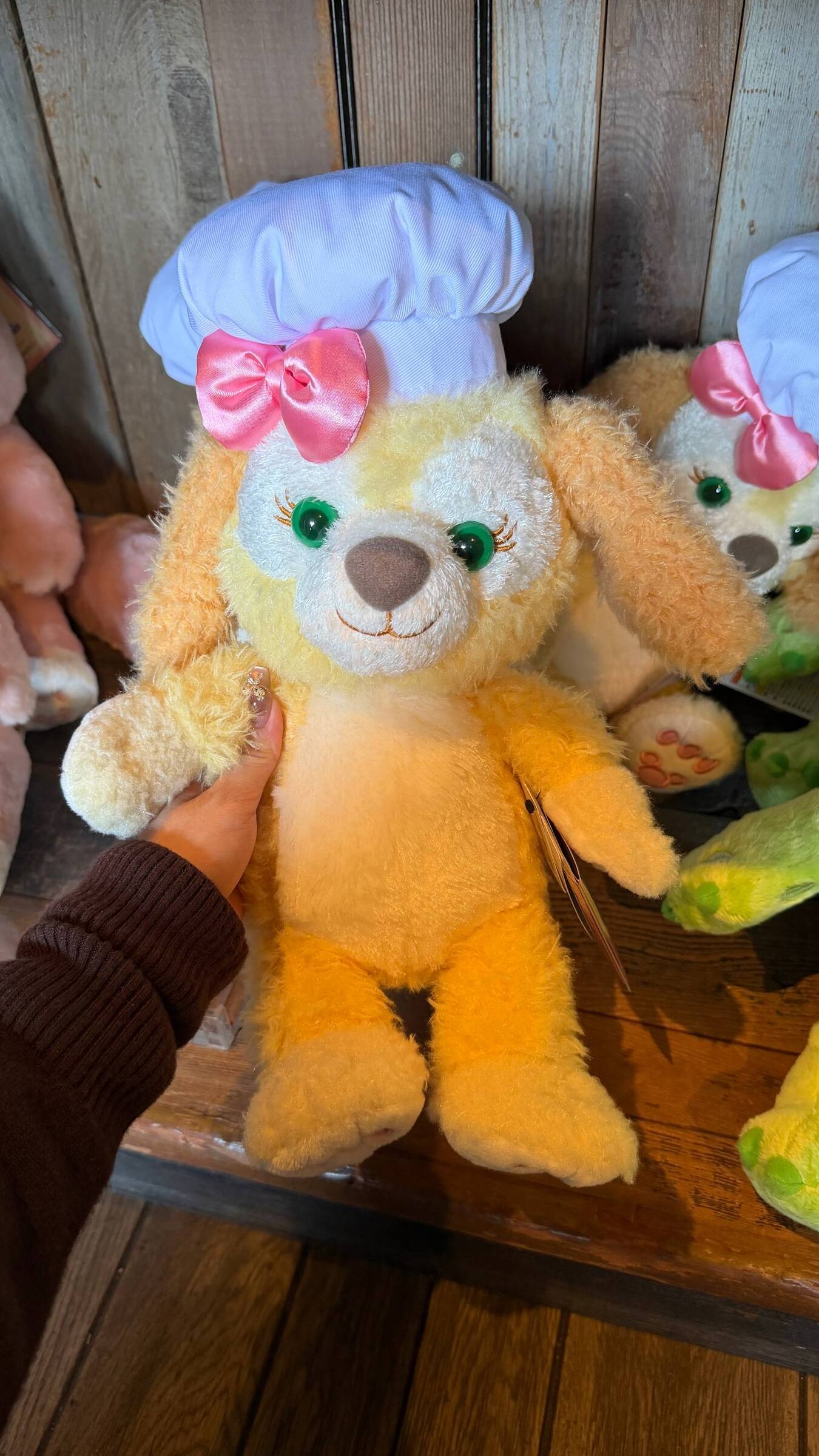 image_054E8532-531E-4DDC-8CAD-D8DB784660D3_1776222737