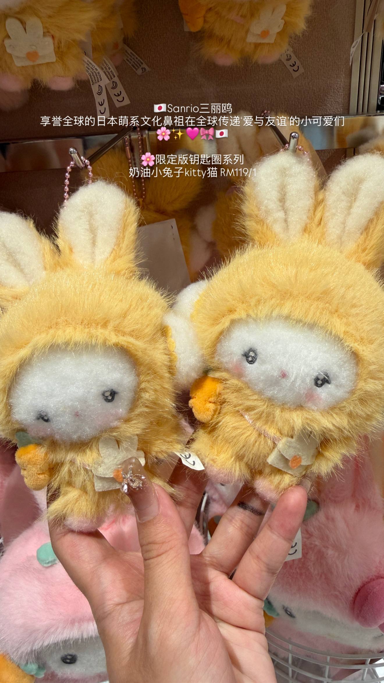 image_0A474A8A-C791-442D-8F33-99A54E31750D_1776584599