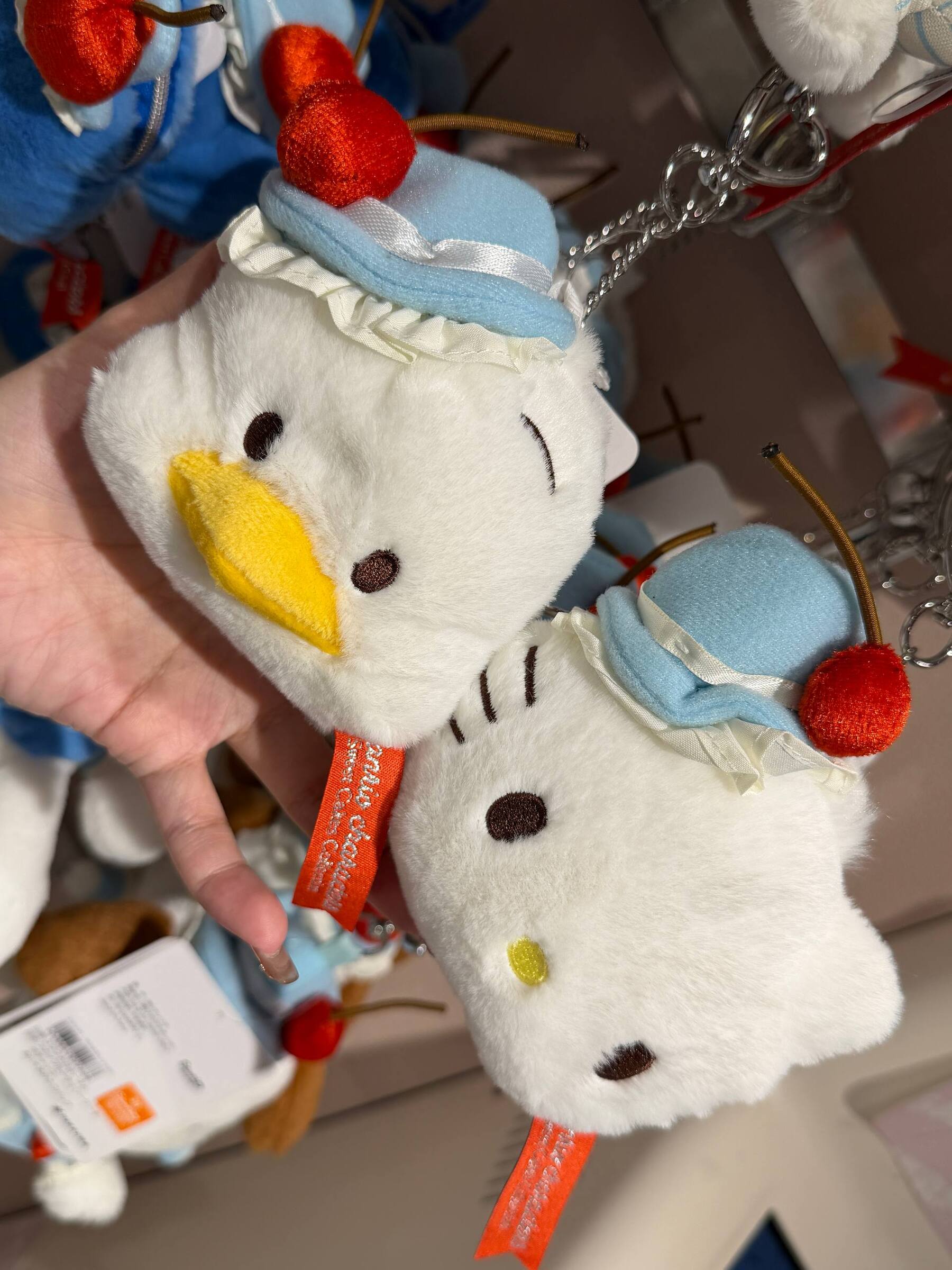 image_FD8A0668-E5E5-4170-AA6D-3E8A2BC8018F_1776598898