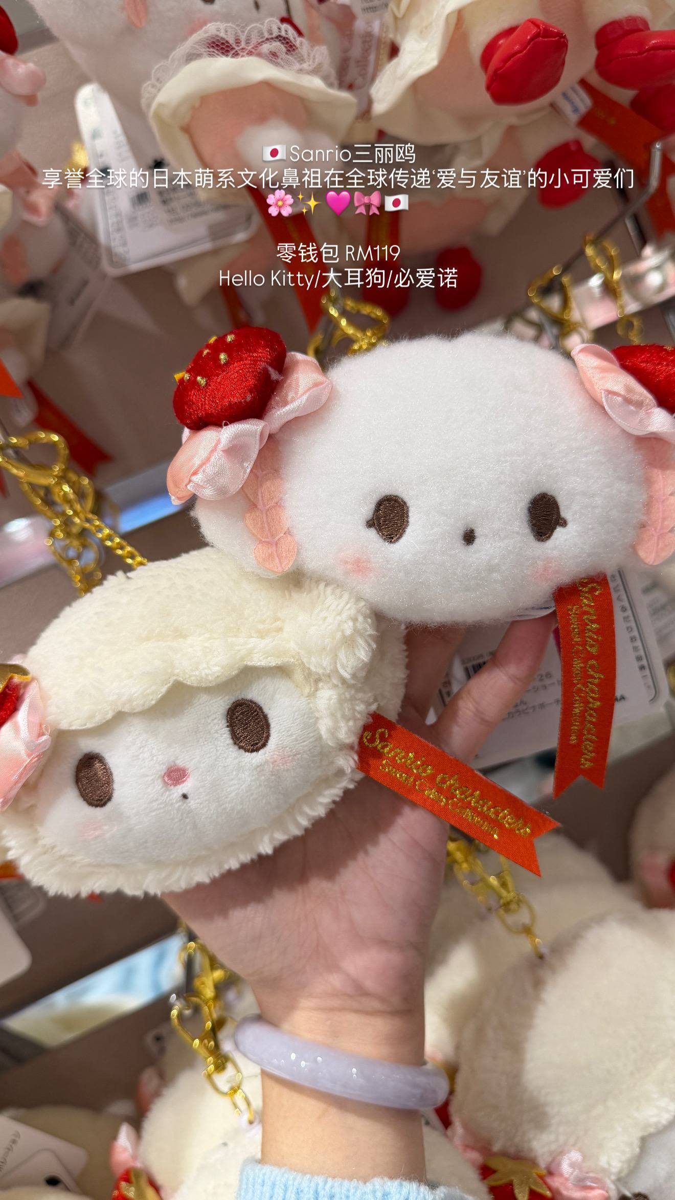 image_7EEE81A3-0A4C-4BBD-B732-A064C5E4A1F4_1776600405