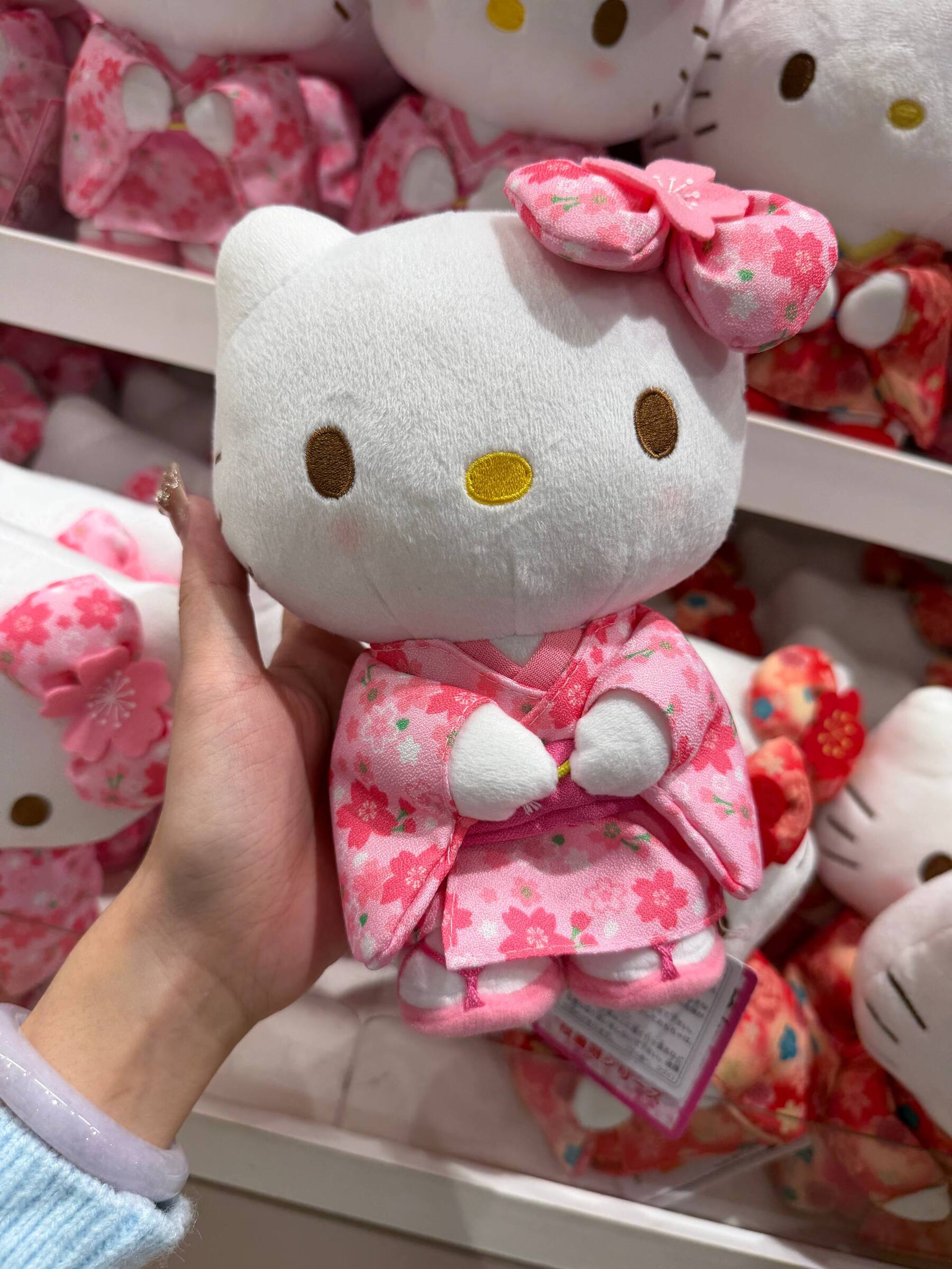 image_A64E6584-D16C-4A74-AF1A-E201CCF83F91_1776603801