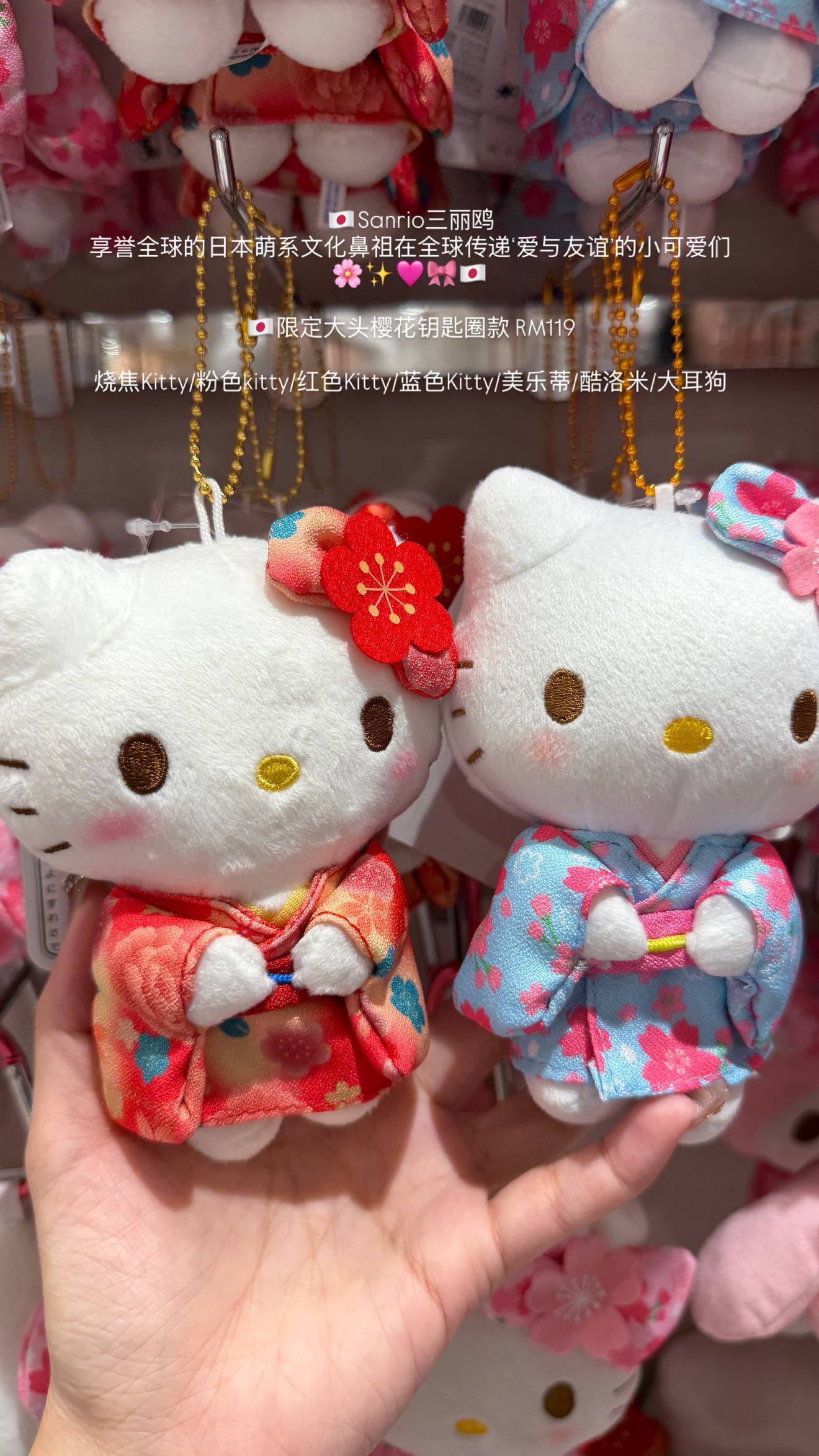 image_BE118B0C-6D89-419C-BC37-395F854B8125_1776605014