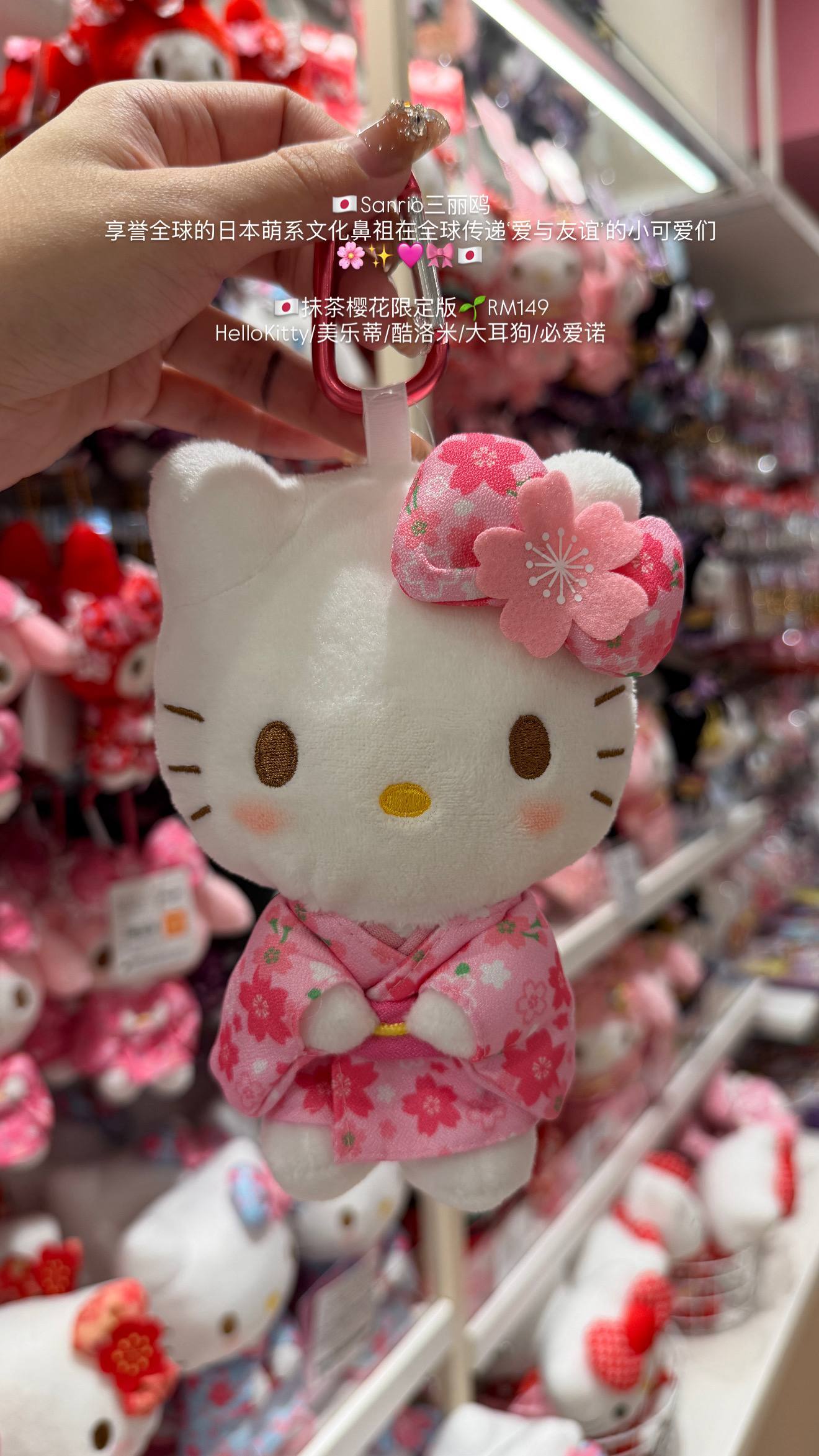 image_2A1DCB5E-171A-4414-98A3-293D2CF543E6_1776605274