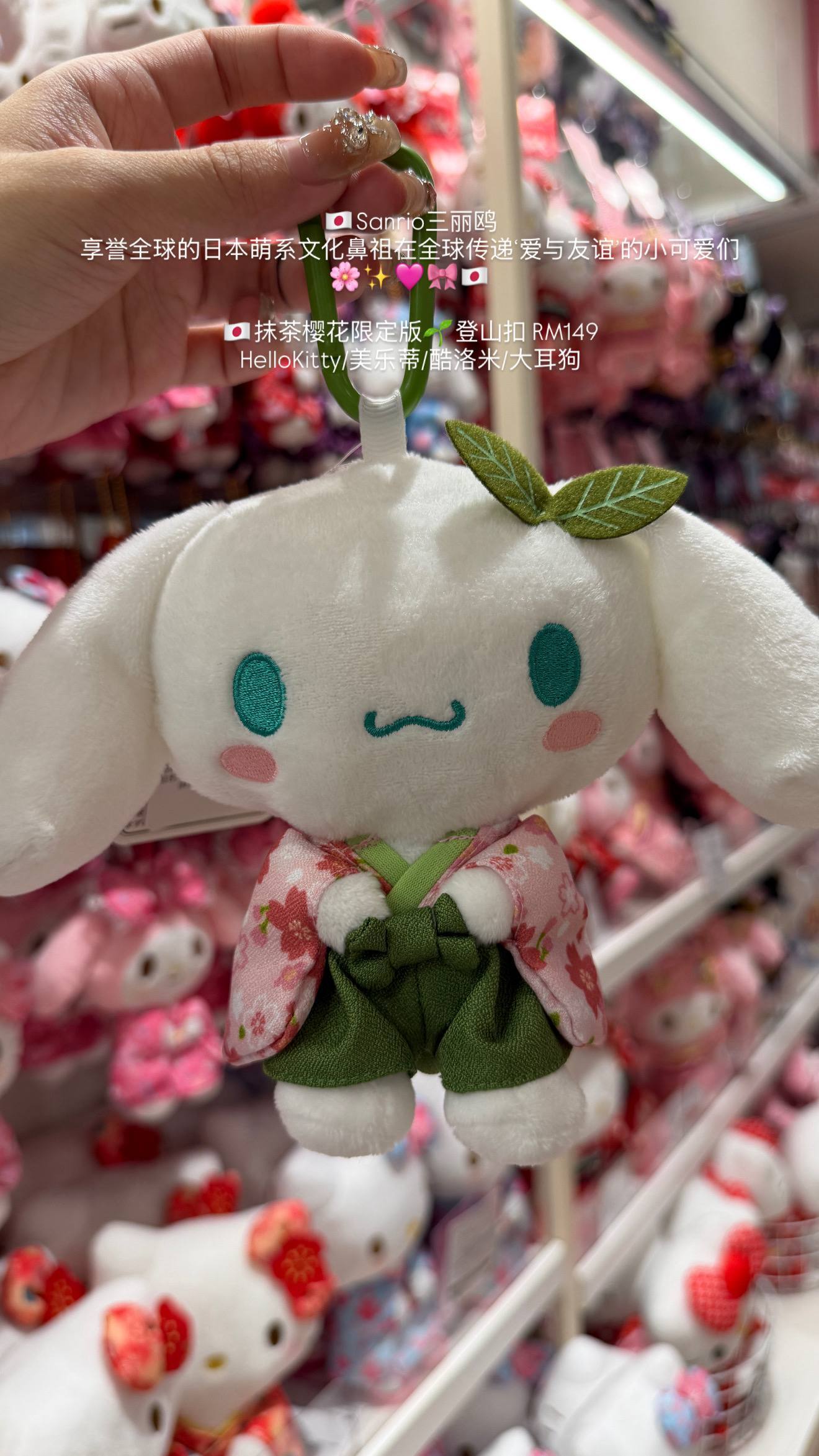 image_7076439B-987A-41CE-B3A4-D5B756993377_1776608860