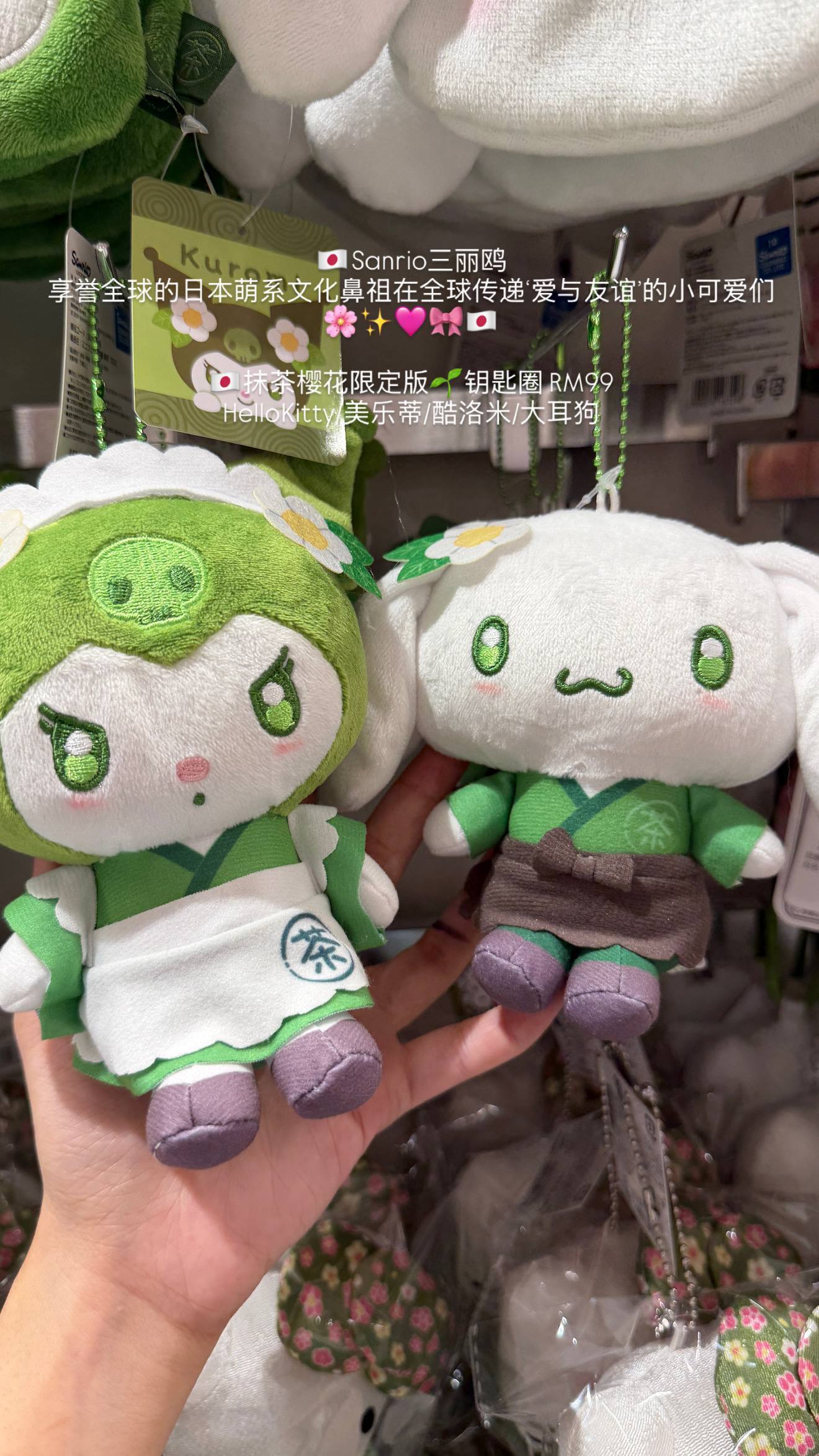 image_D4AE742B-CFFA-4A5F-95C6-03CC284B1618_1776609311