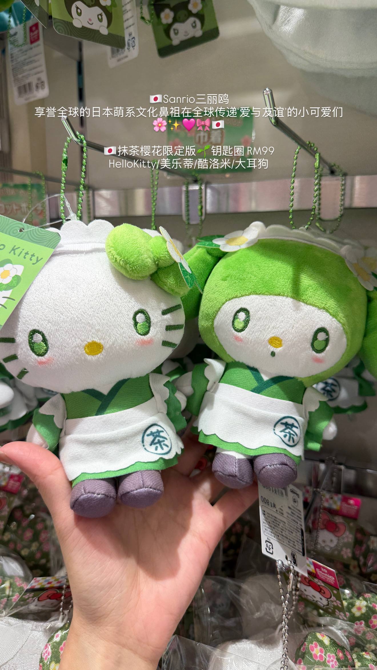 image_4523B9D8-6E3D-4817-BE6E-AD43E79866E7_1776609311