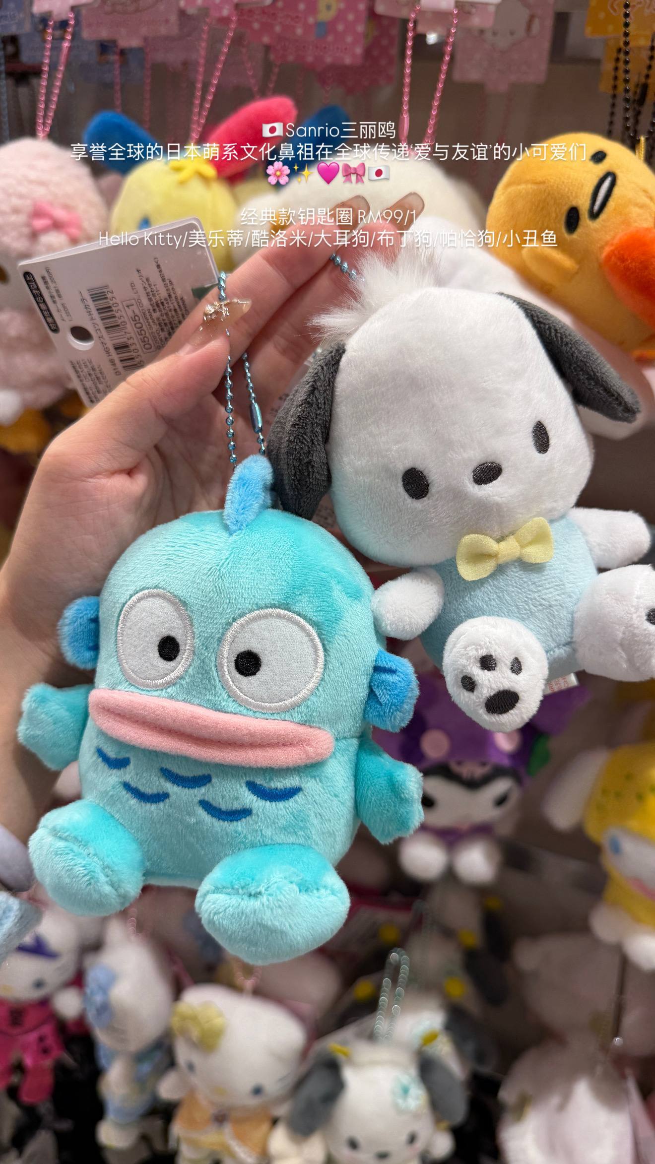 image_46227B70-283C-4C7C-AE68-CE4BDE2E1E53_1776610413