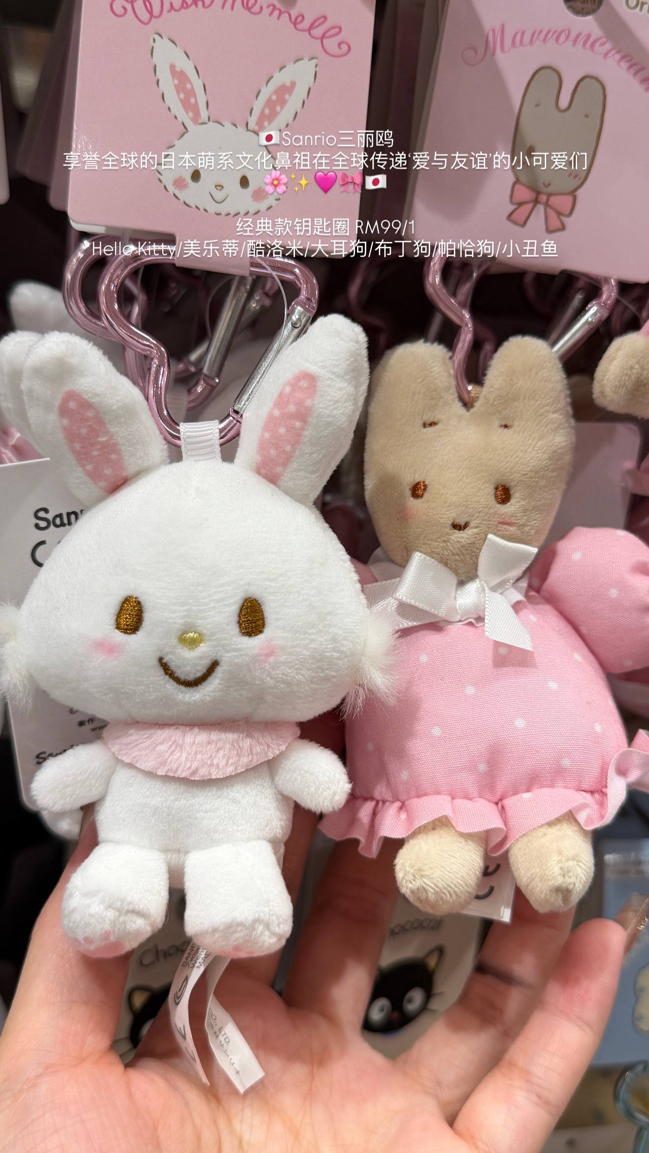 image_5C40073F-FCA5-4493-BD01-6D35C7E4FD03_1776610413