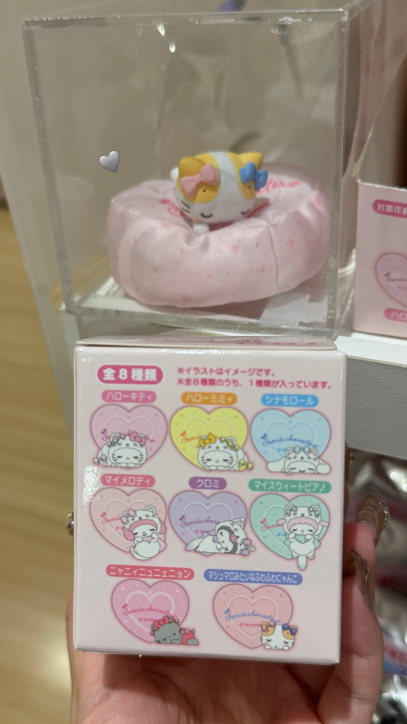 image_D96356A6-E026-4F5F-8BED-007A2B85968F_1776613365