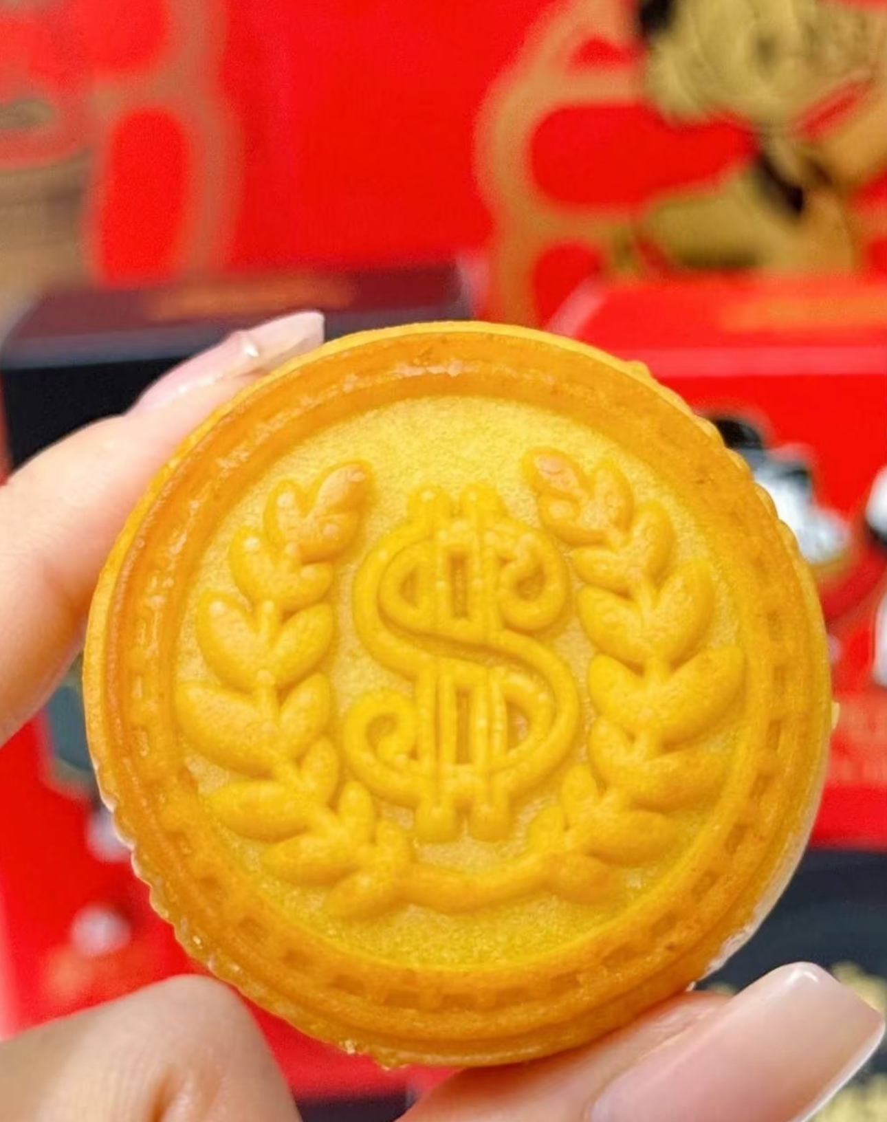 image_3F65B9C6-EEB2-43DC-A8E0-F355A5639322_1755694460