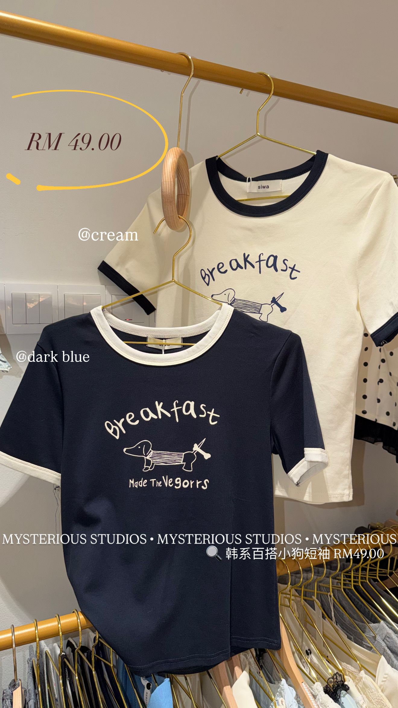 image_24096D52-D154-4DBA-8DFA-23FE7D1D9574_1766569361