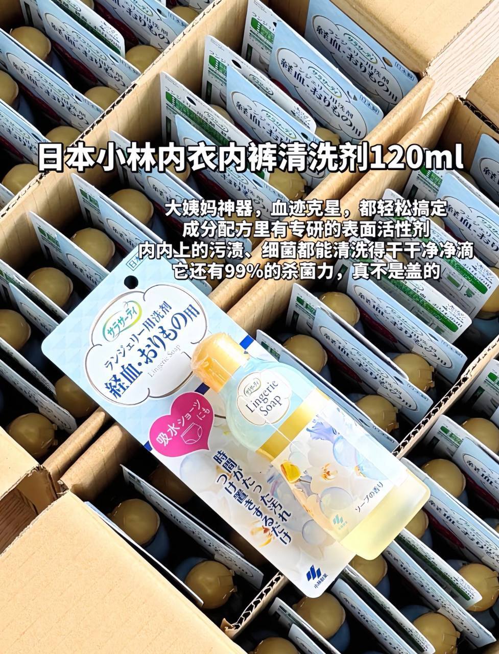 image_1374165A-6268-4CA1-A3F9-1C96A01795C4_1771998198