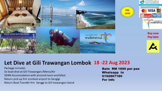 GILI TRAWANGAN LOMBOK DIVE TRIP 18-22 Aug 2023 5D4N 5x boat Dive | CORAL DIVE STORE