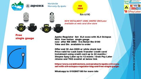 apeks xl4 ocea with grey