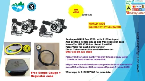 1 mk25a700 silver (1)