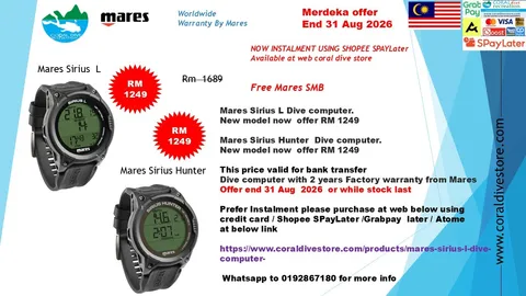 mares sirius L and hunter