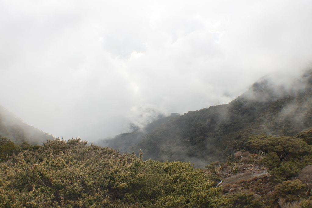 1487400737_1548441_z