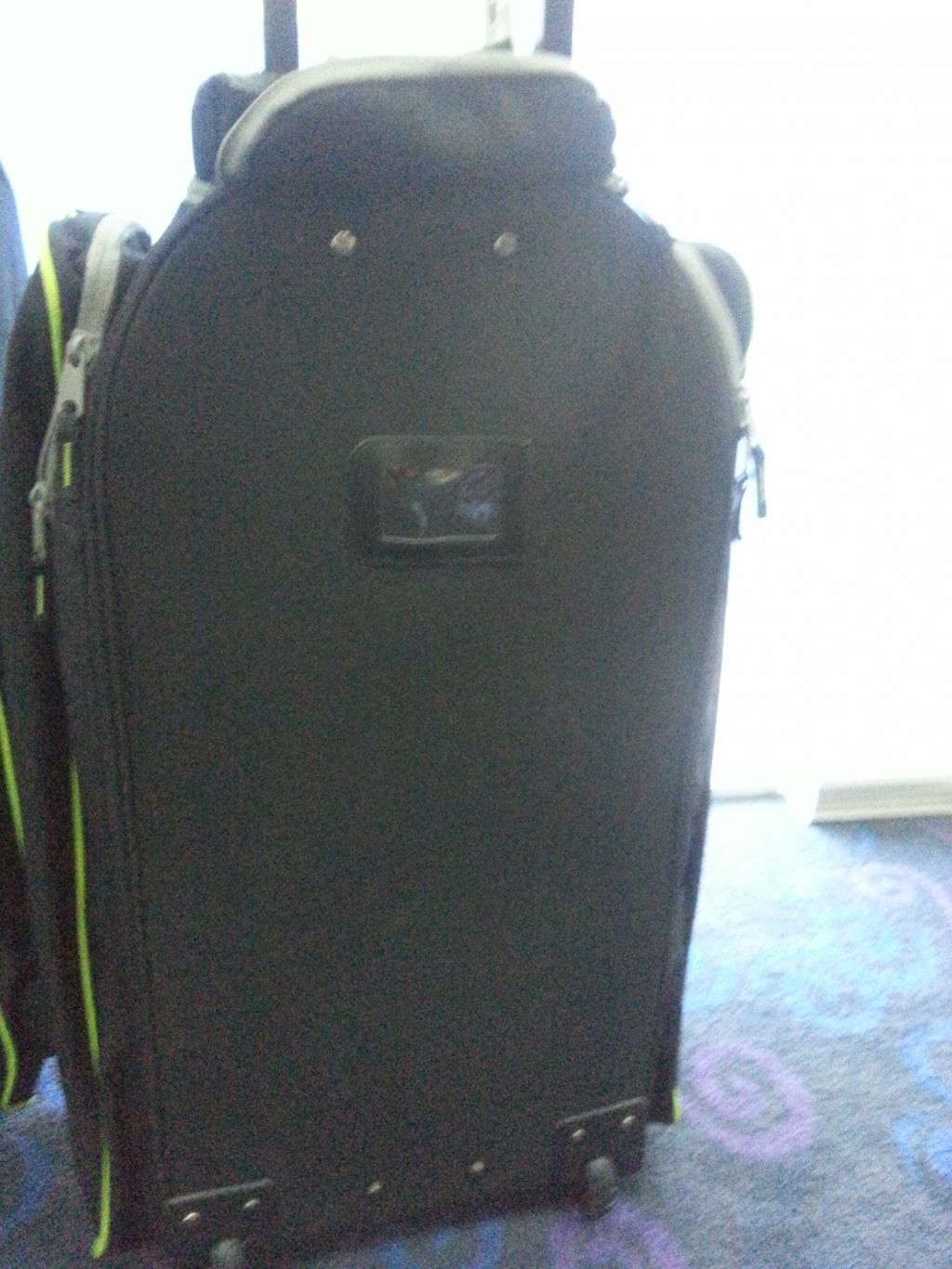 1487401524_2322278_z