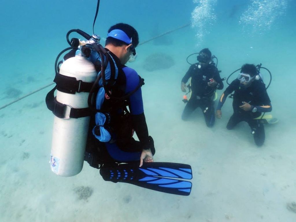 1487402326_2699685_z