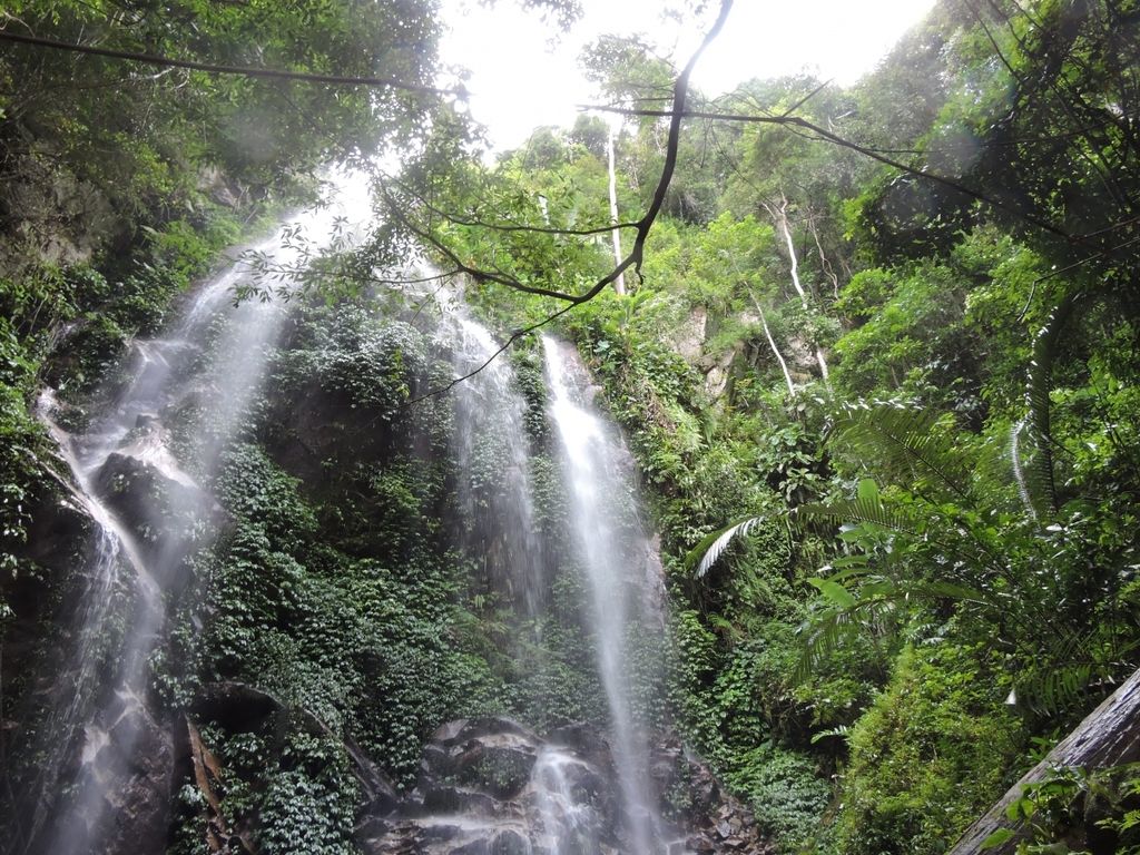 1487402328_2753509_z