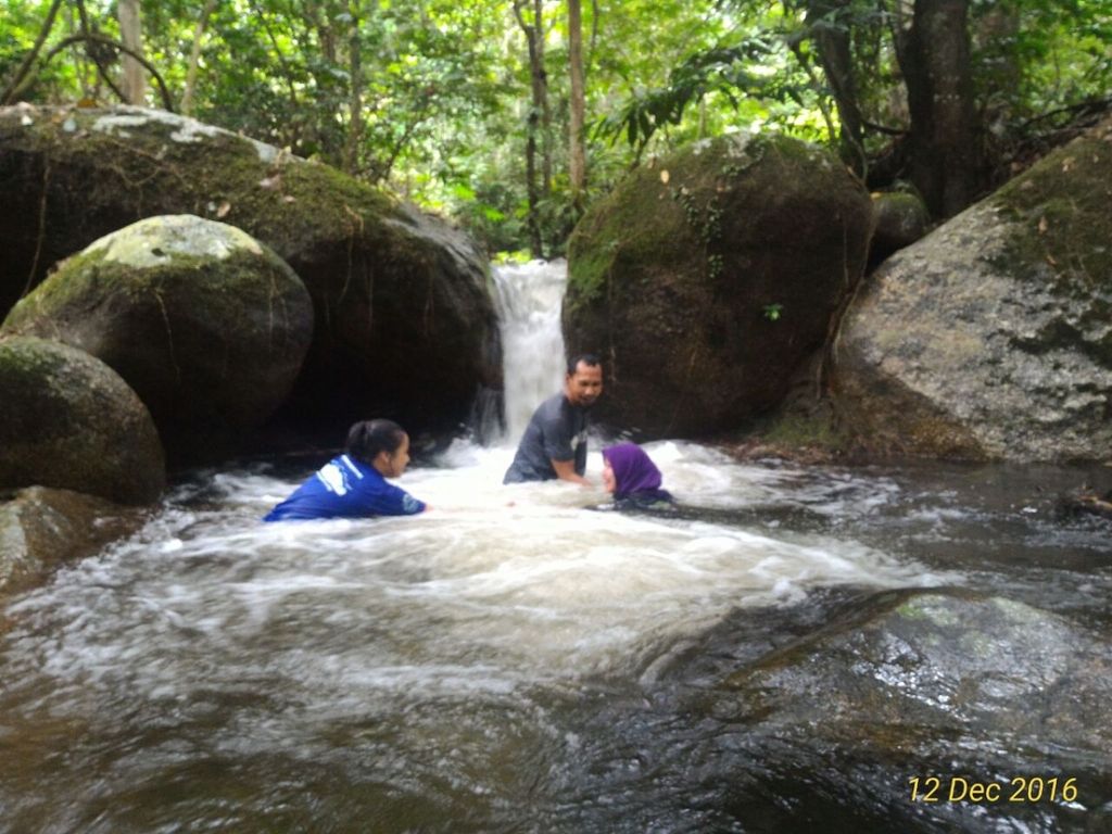 1487402994_2808962_z