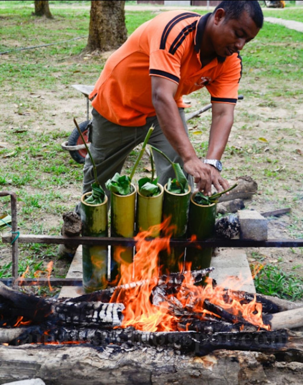 1487402994_2808969_z