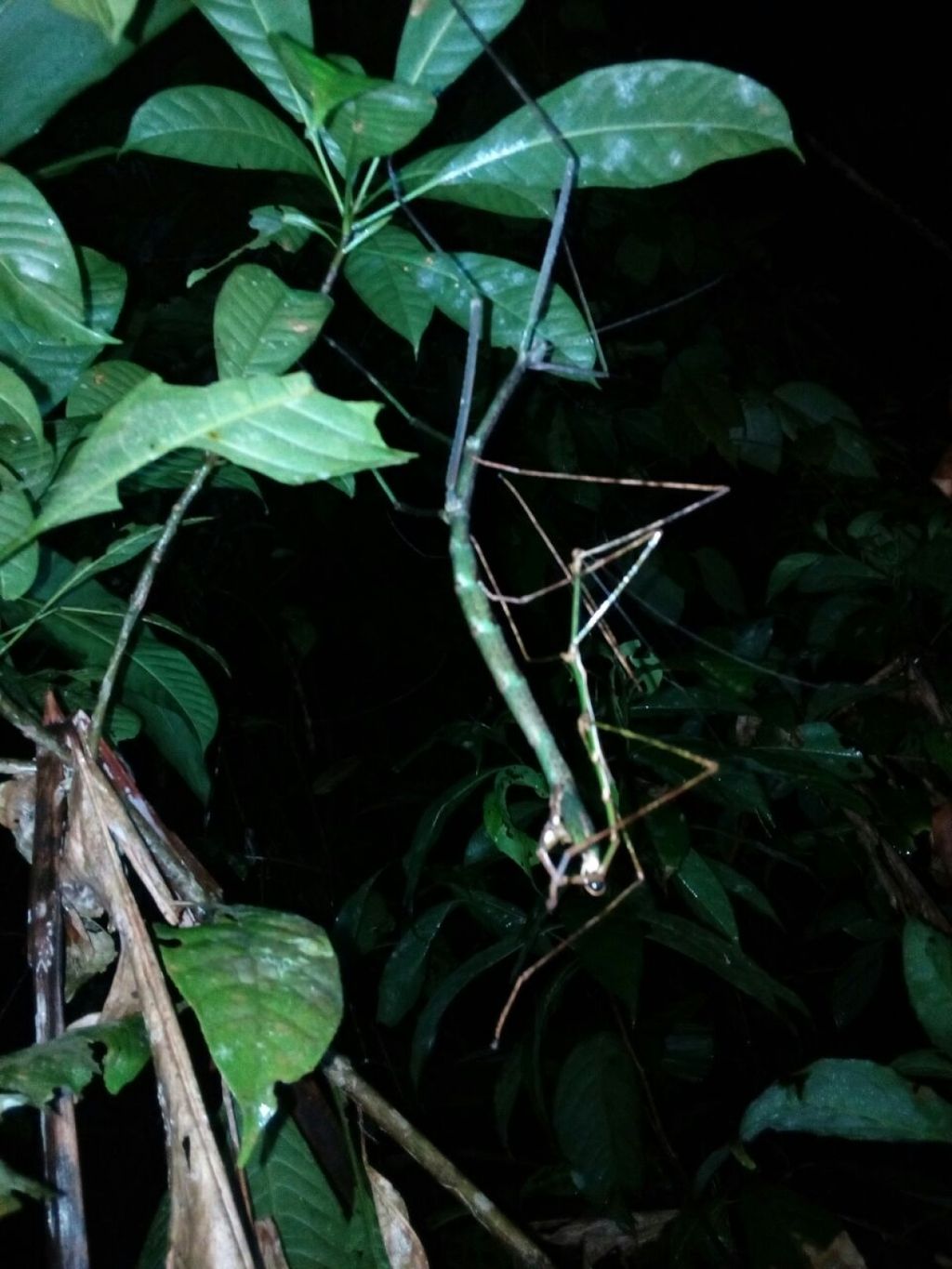 1487402994_2808973_z