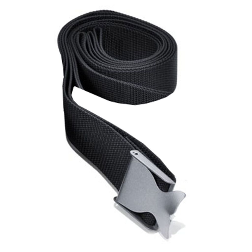 best-divers-belt-whale.jpg