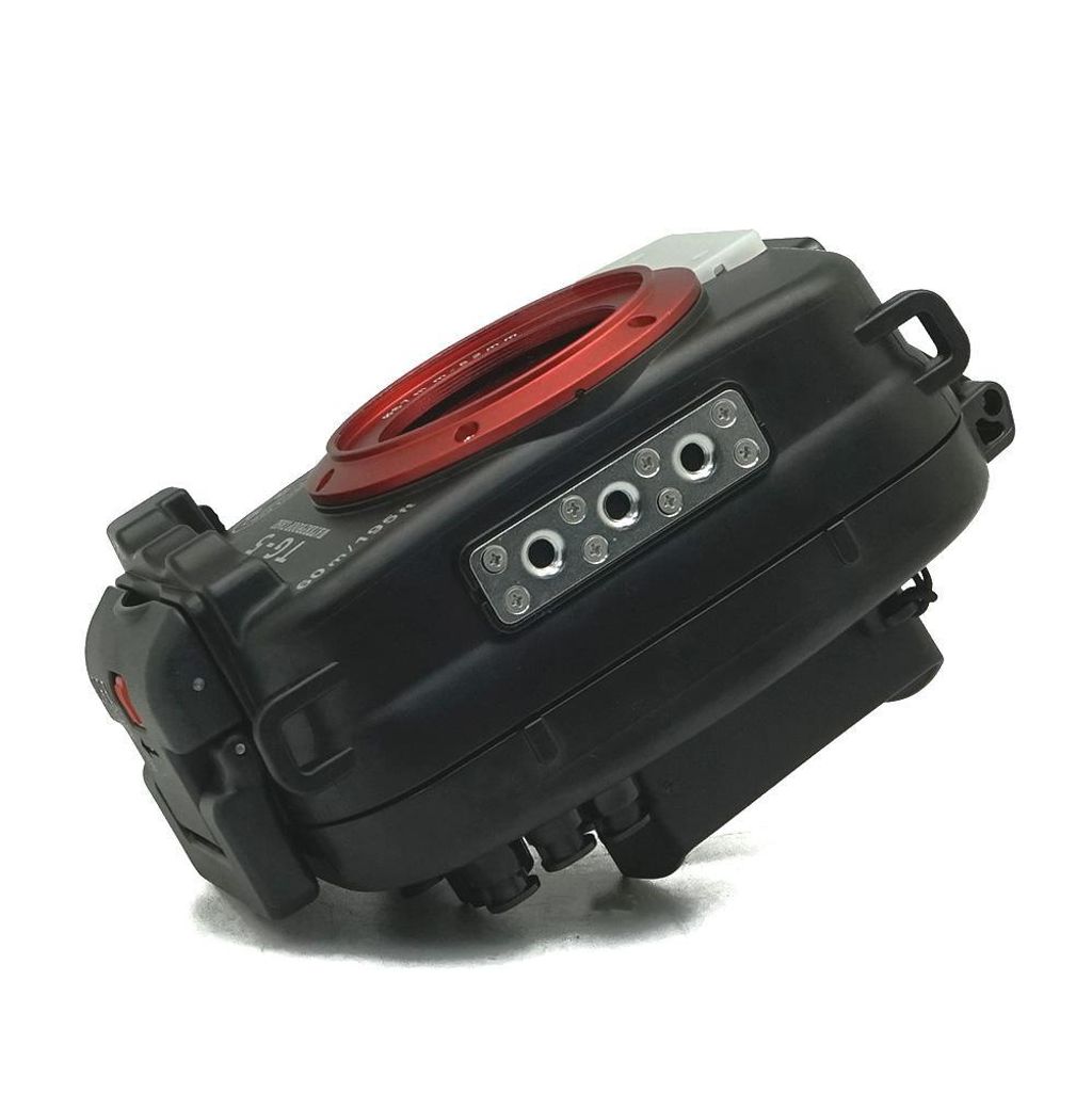 s100.jpg