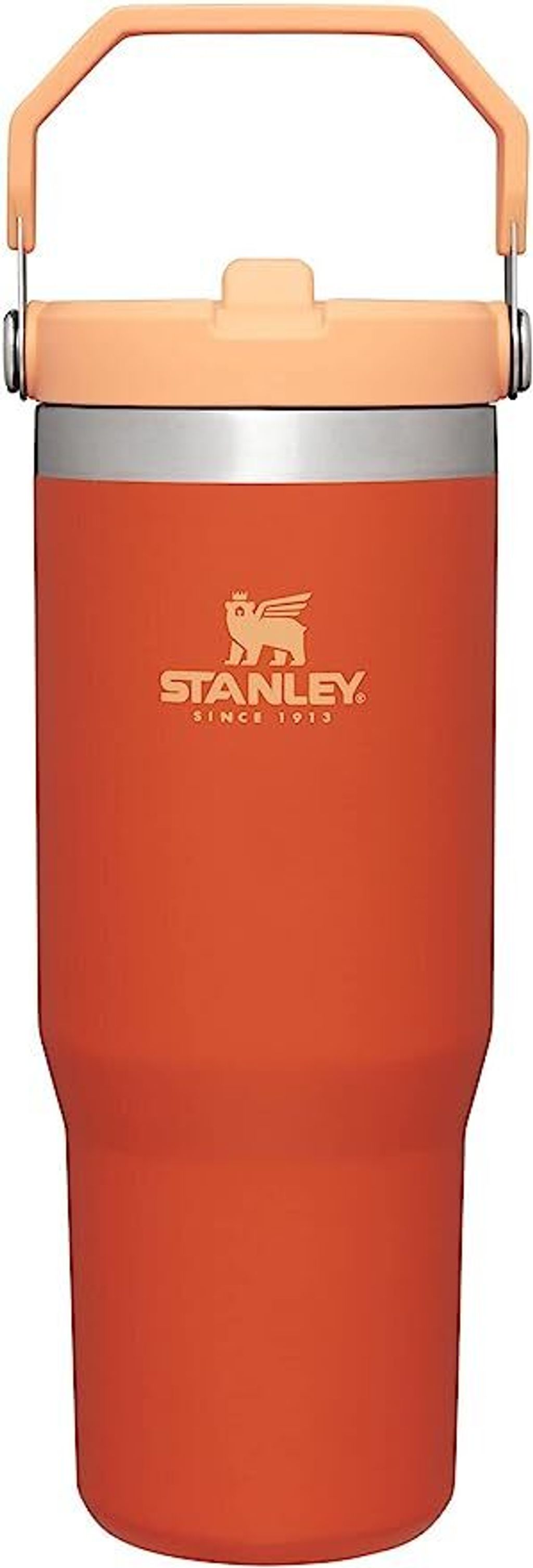 Whole Earth Provision Co.  STANLEY Stanley The IceFlow Flip Straw Tumbler  - 30oz