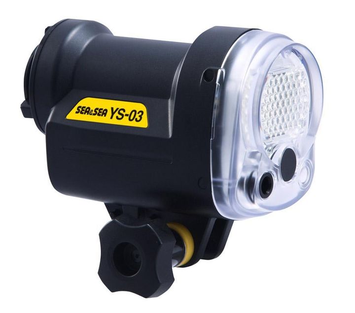sea-and-sea-ys-03-strobe.jpg