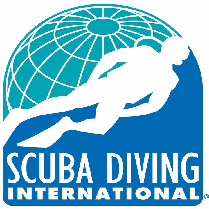 SDI-logo