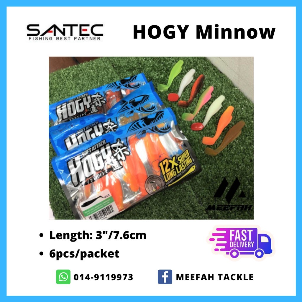 Santec Hogy Minnow Luminous Lure 3 Inch / 7.6 cm - Soft Plastic Fishing  Lure – Meefah Tackle