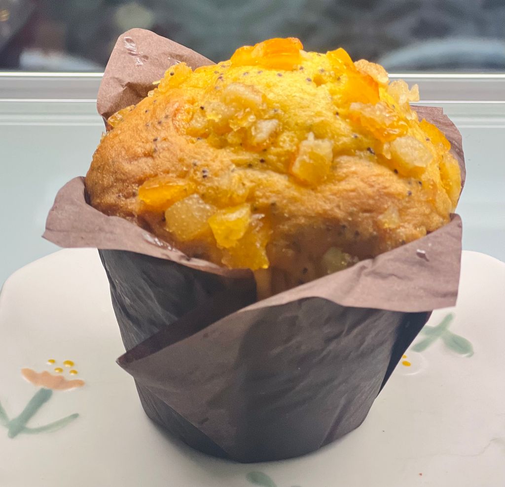 image_BC131D3A-3A54-459F-A864-E466F9E8108D_1758115551