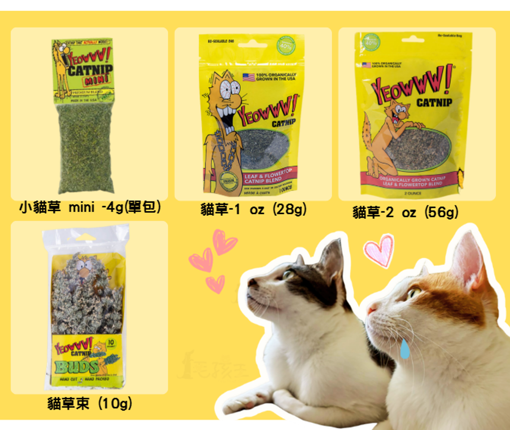 螢幕擷取畫面 2026-03-16 124625