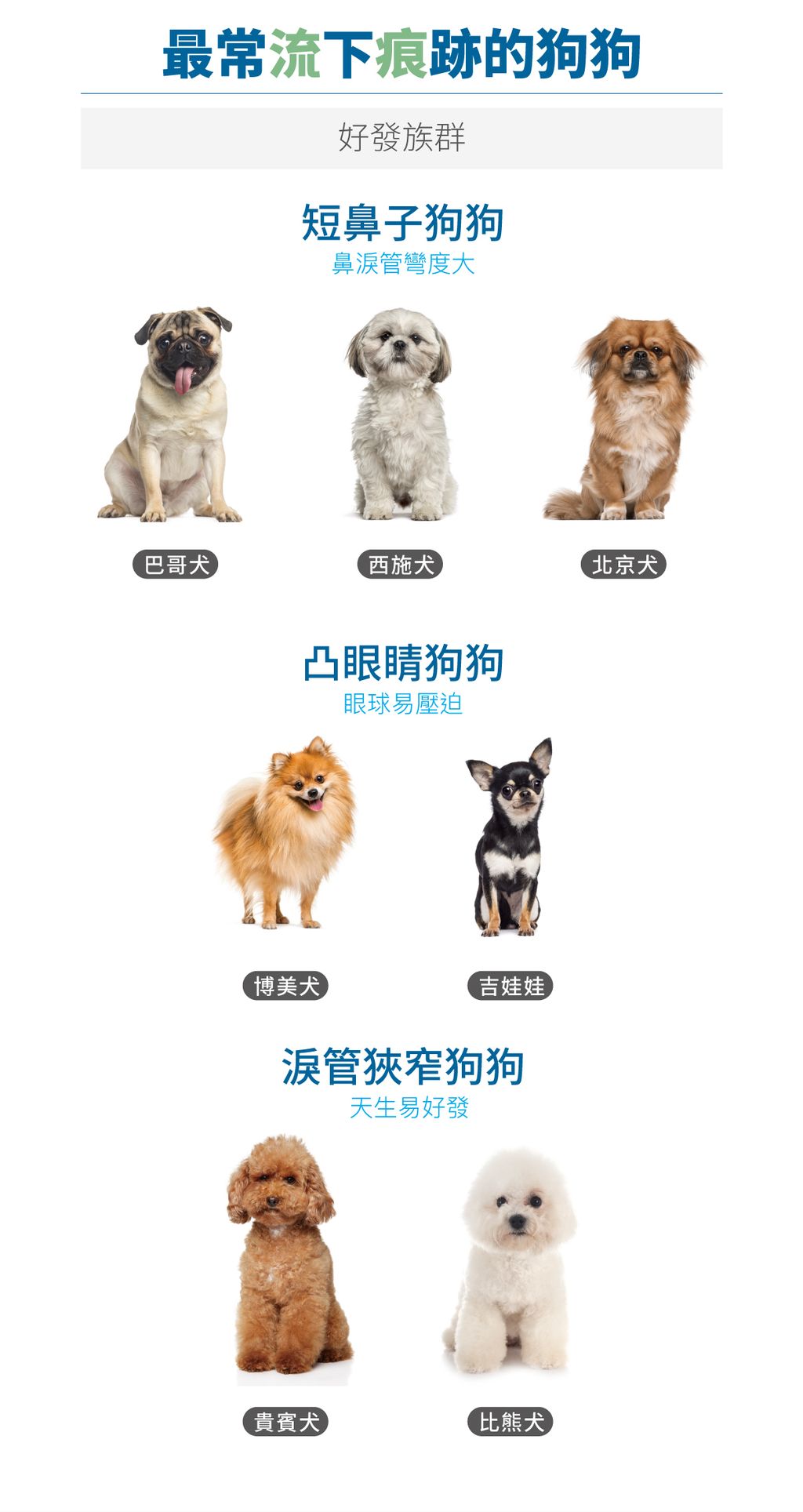 犬痕淨白詳情頁_設計_3