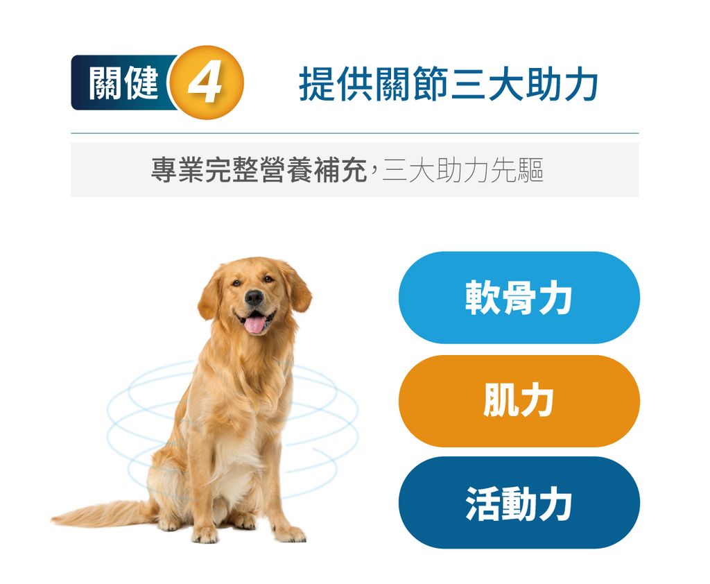 犬有關膝詳情頁_設計_9