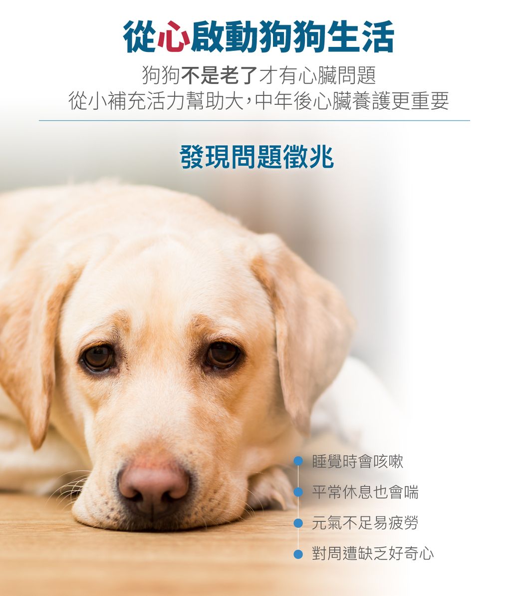 珍心動詳情頁_設計_2