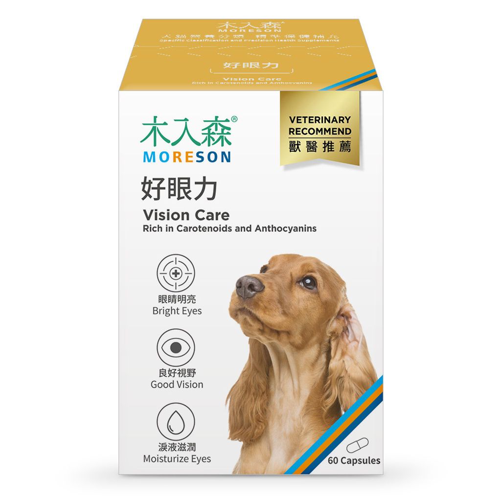 NSKU-犬-好眼力-大_1000x1000